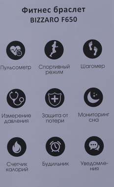 Смарт-часы Rekam Bizzaro F650