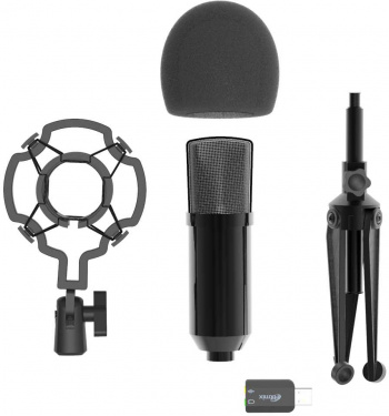 Микрофон проводной Ritmix RDM-160