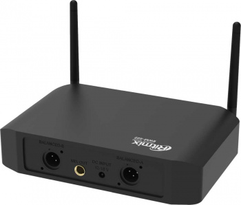 Радиосистема Ritmix  RWM-222