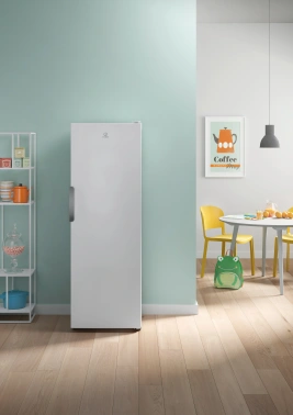 Морозильная камера Indesit DFZ 5175