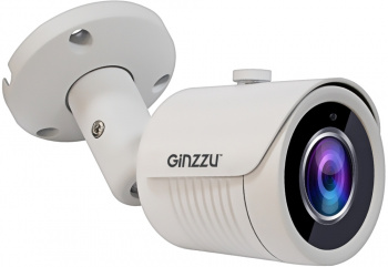 Камера видеонаблюдения аналоговая Ginzzu  HAB-5031S