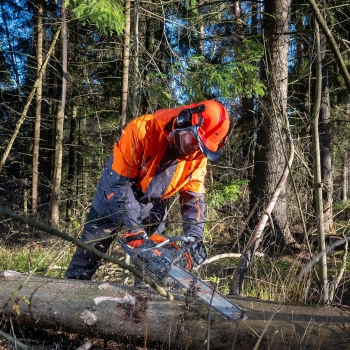 Бензопила Daewoo  DACS 5218XT