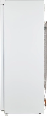 Морозильная камера Nordfrost DF 165 WSP