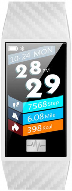 Смарт-браслет Smarterra  Fitmaster Pulsar