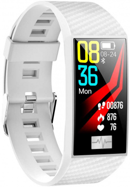 Смарт-браслет Smarterra  Fitmaster Pulsar