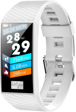 Смарт-браслет Smarterra  Fitmaster Pulsar