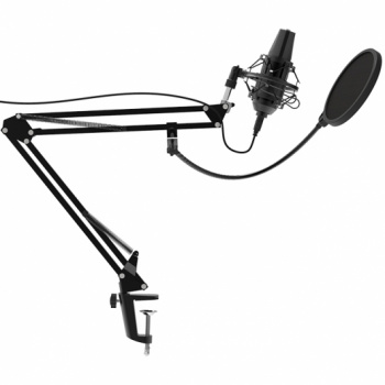 Микрофон проводной Ritmix RDM-180