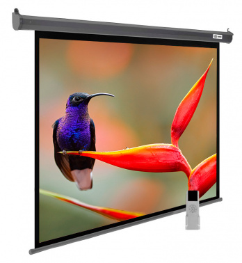 Экран Cactus 102