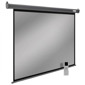 Экран Cactus 111