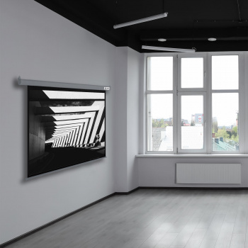 Экран Cactus 111