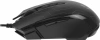 1173650_v10_s.webp