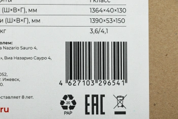 Обогреватель инфракрасный Royal Clima Raggio 2.0 RIH-R1000S