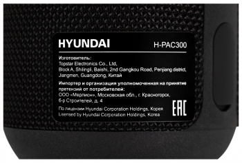 Колонка порт. Hyundai H-PAC300