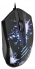 1175321_v06_s.webp