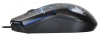 1175321_v09_s.webp