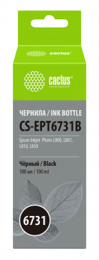 Чернила Cactus CS-EPT6731B T6731