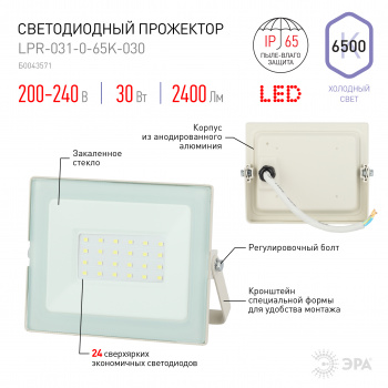Прожектор уличный Эра Eco Slim  LPR-031-0-65K-030