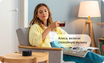 Умная колонка Yandex Станция Мини Алиса черный 3W 1.0 BT 10м (YNDX-0004B)