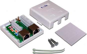 Розетка Lanmaster TWT-SM2-4545/S6-WH настен.RJ45 2 кат.6 STP бел. (упак.:1шт)