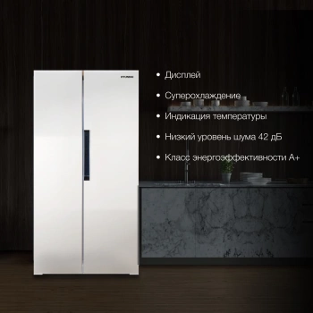 Холодильник Hyundai CS4502F