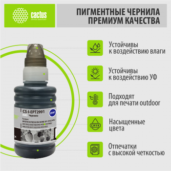 Чернила Cactus CS-I-EPT2991