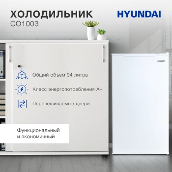 Холодильник Hyundai CO1003