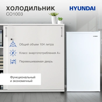 Холодильник Hyundai CO1003