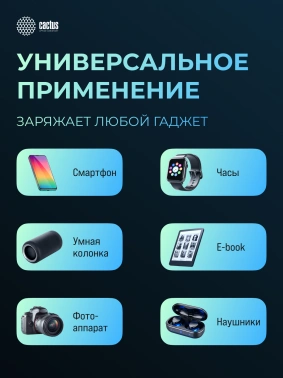 Мобильный аккумулятор Cactus  CS-PBFSFT-10000