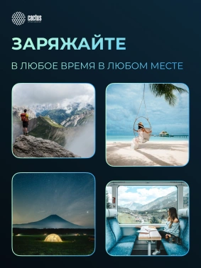 Мобильный аккумулятор Cactus  CS-PBFSFT-10000