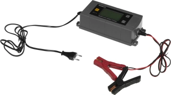 Зарядное устройство Berkut  BCA-4