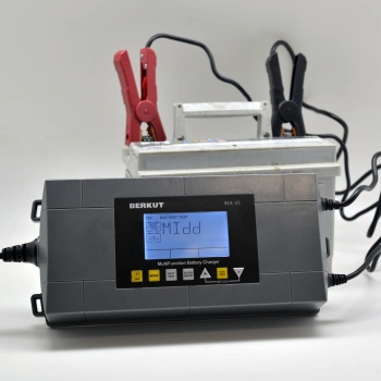 Зарядное устройство Berkut  BCA-25