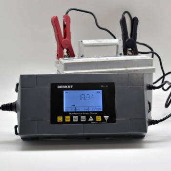 Зарядное устройство Berkut  BCA-25