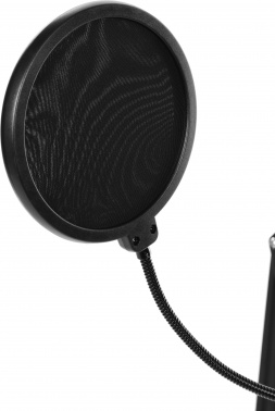 Микрофон проводной Ritmix RDM-169