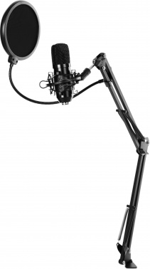 Микрофон проводной Ritmix RDM-169