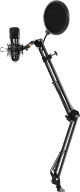 Микрофон проводной Ritmix RDM-169