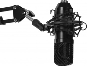 Микрофон проводной Ritmix RDM-169