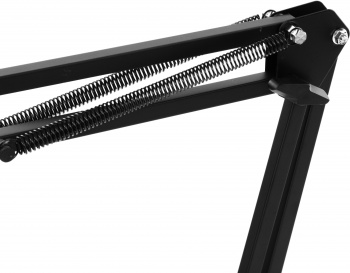 Микрофон проводной Ritmix RDM-169