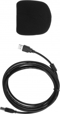 Микрофон проводной Ritmix RDM-169