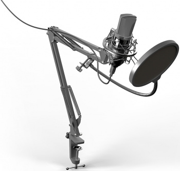 Микрофон проводной Ritmix RDM-169