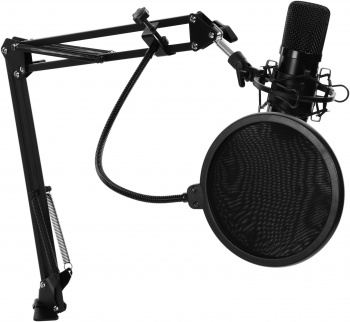 Микрофон проводной Ritmix RDM-169