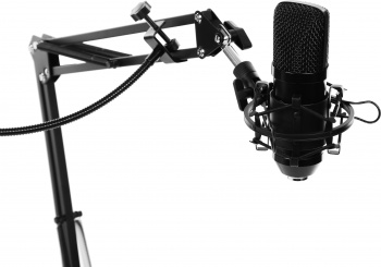 Микрофон проводной Ritmix RDM-169