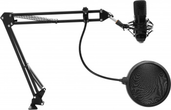 Микрофон проводной Ritmix RDM-169