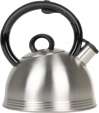 Чайник металлический Rondell Premiere RDS-237
