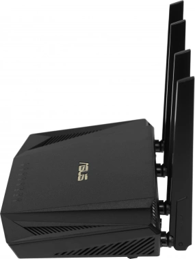 Роутер беспроводной Asus RT-AX58U