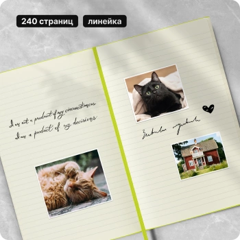 Блокнот Moleskine CLASSIC QP060C2 Large 130х210мм 240стр. линейка твердая обложка лайм