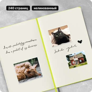 Блокнот Moleskine CLASSIC QP062C2 Large 130х210мм 240стр. нелинованный твердая обложка лайм