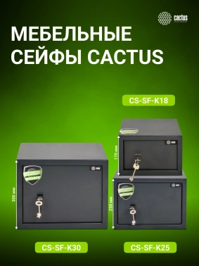 Сейф мебельный Cactus  CS-SF-K18