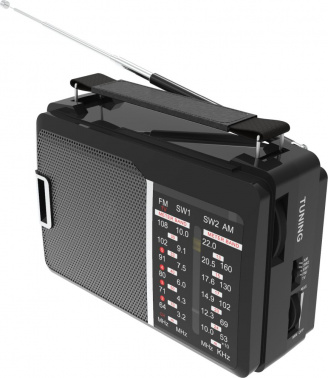 Радиоприемник портативный Ritmix RPR-190