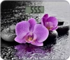 1361540_v02_s.webp
