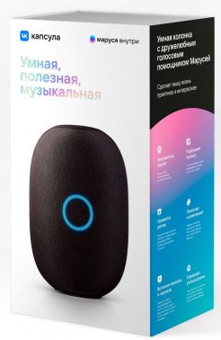 Умная колонка VK Капсула Маруся черный 30W 1.0 BT 10м (MRC01BL)